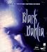 Black Dahlia