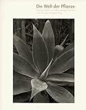 Produkt-Bild: Welt der Pflanze: Photographs by Albert Renger-Patzsch and Auriga