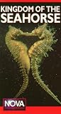 Nova: Kingdom of the Seahorse