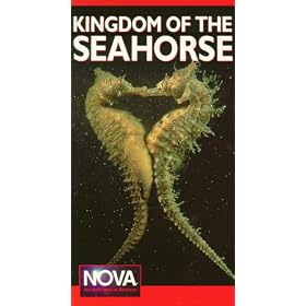Nova: Kingdom of the Seahorse [VHS]