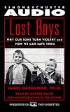 Lost Boys: Why Our Sons Turn Violent and How We Can Save Them