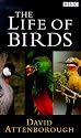 David Attenborough's Life Of Birds [VHS] [1998]