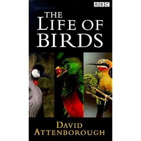 David Attenborough's Life Of Birds [1998]