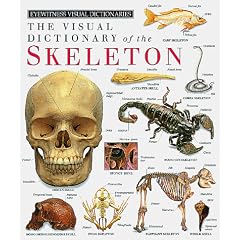 Eyewitness Visual Dictionary of the Skeleton