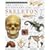 Eyewitness Visual Dictionary of the Skeleton