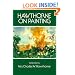 Hawthorne on Painting