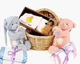 The Twins Twice As Nice Baby Gift Basket