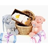 The Twins Twice As Nice Baby Gift Basket by GTB - Baby Gift Baskets
