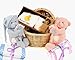 Baby : The Twins Twice As Nice Baby Gift Basket