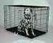 Cozy Dog Crate - Giant