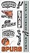 NBA Temporary San Antonio Spurs Tattoo