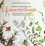 Produkt-Bild: Praktische Einf&uuml;hrung in die Kr&auml;uterheilkunde - Einheimische Pflanzen, Chinesische Kr&auml;utermedizin und Bach-Bl&uuml;ten