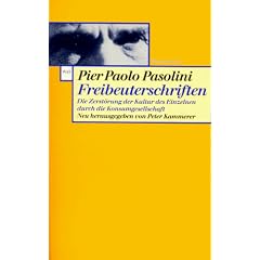 Freibeuterschriften: Die Zerst�rung der Kultur des Einzelnen durch die Gesellschaft