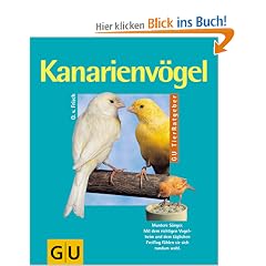 Kanarienv�gel