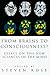 Book From Brains to Consciousness? Essays on the New Sciences of the Mind
