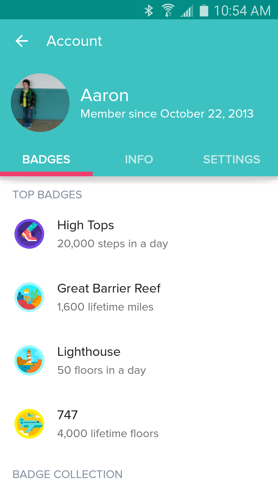 triangl cheetah bikini