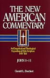 John 1-11 (New American Commentary)