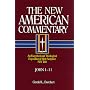 John 1-11 (New American Commentary)