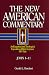 Book John 1-11 (New American Commentary)