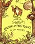 Crinkleroot's Guide to Walking in Wild Places