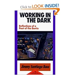 Working in the Dark: Reflections of a Poet of the Barrio (Red Crane Literature Series)