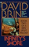 Infinity's Shore