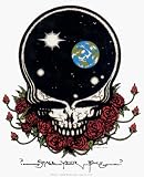 Grateful Dead - Space Your Face - Window Sticker / Decal