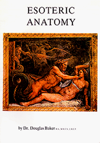 Anatomy