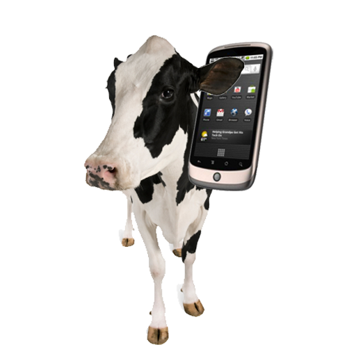 Cow Ringtones