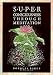 Superconsciousness Through Meditation