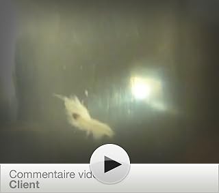 Cliquez pour regarder cette vid�o