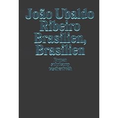 Brasilien, Brasilien: Roman (suhrkamp taschenbuch)