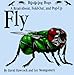 Books : Fly: A Read-About, Fold-Out, and Pop-Up (Bouncing Bugs)