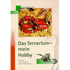 Das Terrarium, mein Hobby