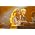 Miniaturansicht von Sheryl Crow