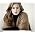 Vignette de Adele