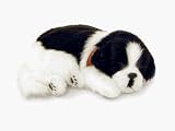Your Perfect Petz Border Collie Puppy Bundle