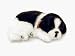 Your Perfect Petz Border Collie Puppy Bundle