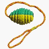 Schleuderball