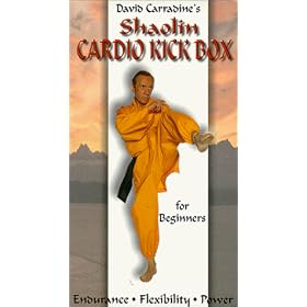 Shaolin Cardio Kick Box for Beginners [VHS]