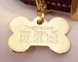 Pet Supplies : Brass Bone Dog ID Tag - Both Sides Engraved (Size=Large 1 1/2 in wide)