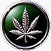Chrome Marijuana / Pot Leaf on Green Background with Silver Circle - Sticker / Decal