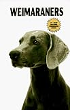 Weimaraners