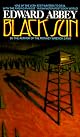 Black Sun: A Novel