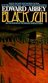 Black Sun: A Novel