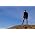Thumbnail image of Cellarscape