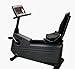 Exercise Bike / Lifecycle 9500R Recumbent