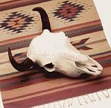 Buffalo Skull Replica