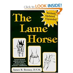 The Lame Horse