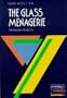 York Notes on the Glass Menagerie By Tennessee Williams Pb